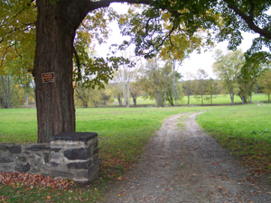 Rowlandson farm site