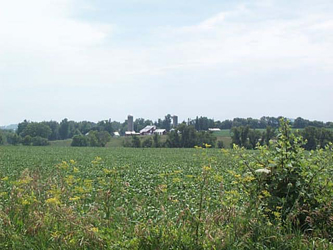 Apple River farm