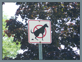sidewalk sign, Montreal, Canada