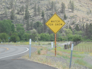 Expectant skiers