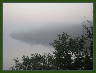 A foggy view from our house