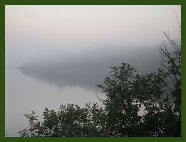 A foggy view from our house