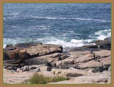 The shoreline is rocky