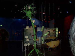 A large green model of a molecule, with narrow hair-like protuberances in a darkened hall of the science of medicine