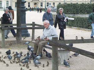 On a park bench in the Tuileries Gardens an old man in a light jacket sits quite still, with birds on his hands and surrounding his feet
