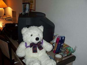 Cuddles sits forlornly on the hotel nightstand; she cannot help but be aware of the roll of packaging tape next to her.