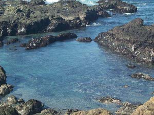 Surrounded by a ring of rocks, the sheltered tidepool has a variegated coloring, reflecting the changing bottom