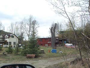 A collection of odd decorations surround the house and yard of this Alaskan's home