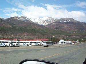 A dozen or more buses, some marked for the National Park Service, others for private tour lines, are lined up along the side of the highway waiting to take passengers from the hotels into the park