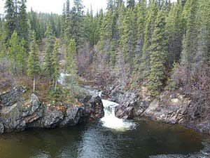 In a scenic setting the river comes tumbling over a rocky ledge and falls into a dark pool of water