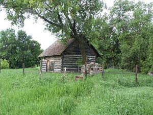 The pioneer cabin is made of logs with plaster chinked in between