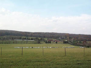 round bales of hay in a long line across a green summer field in New Jersey