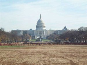 A view of the U.S. Capitol from the center of the mall