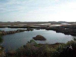 The afternoon sun is reflected over the top of coastal pools, at least a mile inland; the pools are separated by swamp grasses
