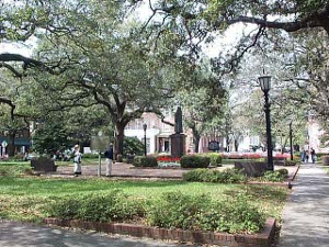 The trees stretch out broadly, shading the square, with old time lights