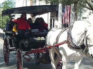 A red-shirted driver points out the sights to the passengers, riding along in a black surrey with a fringe on top, pulled by a white horse.