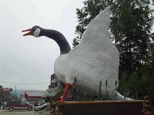 The huge sculpture is almost all white, with a black neck, and orange feet and bill