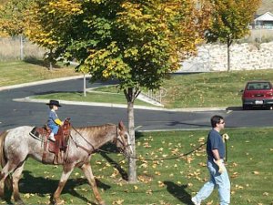 On a suburban street, a man in blue jeans leads a brownish gray horse along the grass, while a little boy, perhaps three, wears a black hat and sits astride the horse.