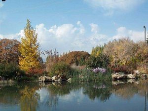 With the blue sky reflected in the lake, backed by trees in autumn foliage, this picture is a riot of color