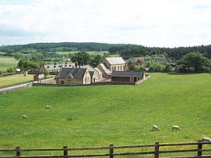 Stores and businesses of the 1825 colliery village appear across a pasture with a handful of sheep grazing.