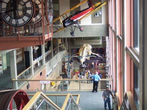 Suspended in the air is a red and black and yellow plane, while a visitor observes a whale skeleton