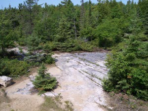 A bare shelf of grey granite appears in the middle of the evergreens