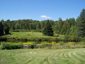 the fields slope down to a still creek