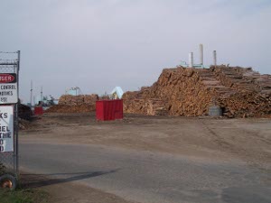 lumber to be milled is stacked over fifty feet high