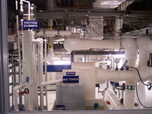 the modern filtration system, a mass of gleaming white pipes, cleans and purifies the water and introduces nutrients