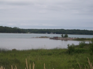 Soft grasses line the shore at St. Joseph's Island, with summer cottages in view.