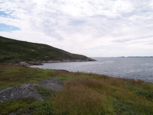 Replace with detailed title to appear when image doesn't load or for blind persons