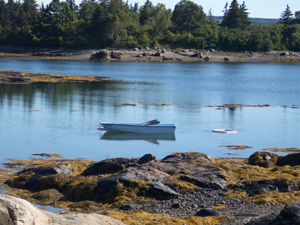 Rowboat at low tide