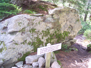 A glacial erratic
