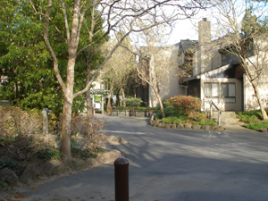 Walking path to grocery