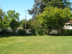 Burbank's burial place