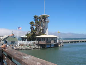 Forbes Island