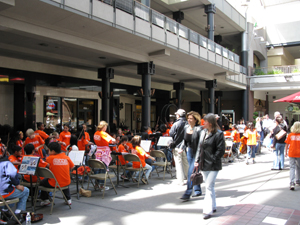 Elementary School orchestra