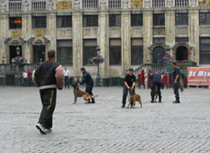 Police dog demonstrations
