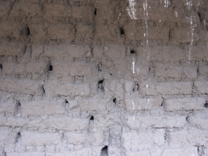 Original 1850 adobe walls