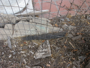 Charred wood from 1969 fire