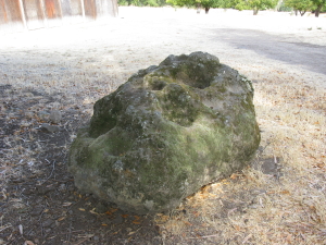 Miwok grinding rock