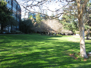 Our bus stop in San Jose