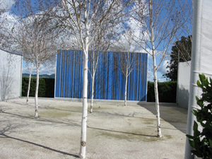 Garden titled Rise