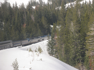 A glimpse of our train