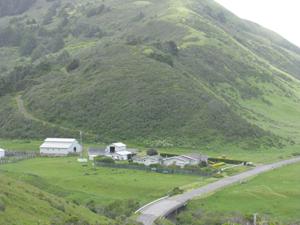 Looking down from a steep hillside, the photo catches the farm buildings -- houses, garages, barns, and so on -- next to a creek which empties into the ocean.  On either side are steep hills, but there is sufficient rich pastureland to let the farm prosper