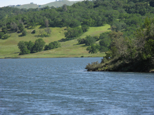 The blue waters of Hennessey Reservoir reveal slight ripples, lapping up against the verdant slopes of grass and shrubs