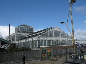 A white iron frame building on the shore road is covered with windows