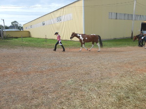 A tall woman with a black hat and red blouse leads her horse in front of the horse show barn