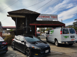 Only the trunk of the tree remains, neatly covered with a shingled roof and an adjacent drive-through where cars used to pull up to get fuel and motoring supplies.