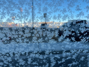 The frosted white spots have hexagonal snowflake symmetry, marking them as the art of Jack Frost.